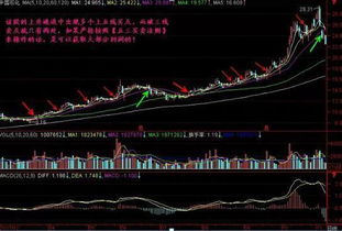 我拿两万买股票要收多少手续费谁能帮我算下