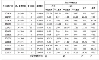 公司社保如何查询明细表