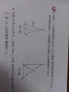 今期算分又算角是什么生肖