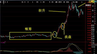 在选股条件里如何选主力高度控盘股