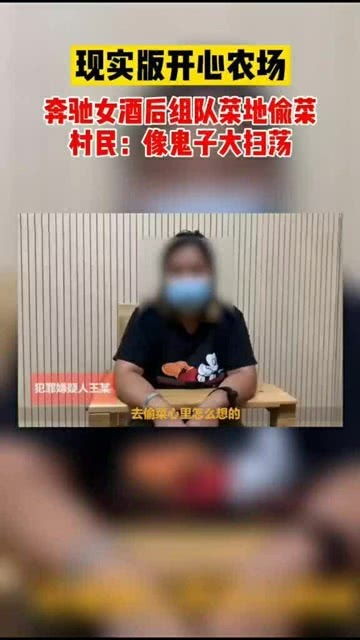 奔驰女酒后组队菜地偷菜,女子和同伙已经被警方抓获 