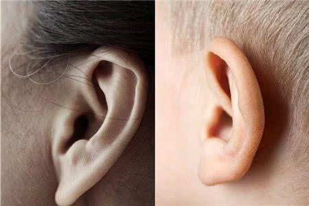 耳垂大是长寿有福气的象征 真的是这样吗