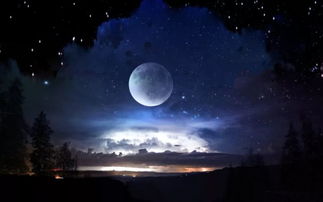 月亮星座与你的情感需要 