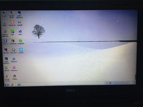 电脑屏幕问题 