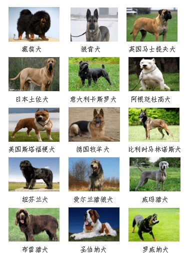 唐山市公安局 唐山市农业农村局关于养犬重点管理区禁养犬的通告