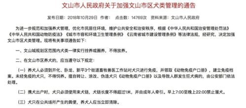 深圳一小区规定晚上十点半前不能遛狗 网友吵翻了 你怎么看