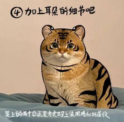 照猫画虎 谁还不是个小脑斧啦