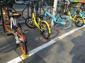 七彩单车火遍北京,共享单车的颜色究竟有什么秘密 
