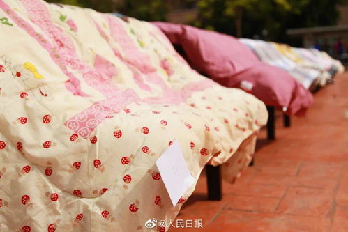壮观,杭州这所学校晒了好多被子 背后的故事和阳光一样暖