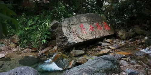 清远太和古洞(清远太和镇有什么地方好玩)