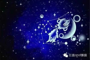 星你讲坛 怎样可以撩到十二星座