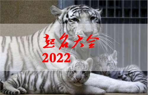 2022虎年小清新好听的李姓男宝宝起名