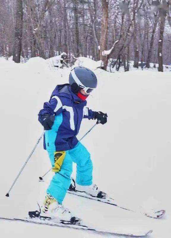 滑雪冬令营 仅需5天 易滑带你驰骋雪场 体验滑雪的速度与激情