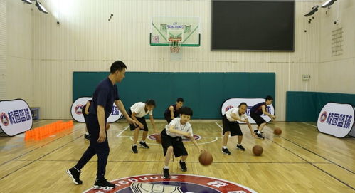 青少年校园篮球基础知识视频即 天天篮球 即将推出 