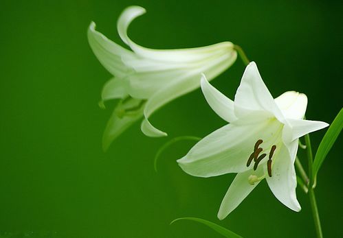 7天后,历经风雨,跨过坎坷,3大星座触景生情,携手相伴不离不弃