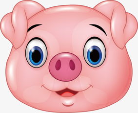 粉色猪头素材图片免费下载 高清装饰图案psd 千库网 图片编号6709321 