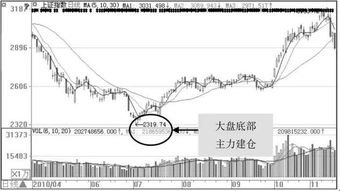 股市反弹的展开，是否意味着一些利好因素已经出现？