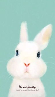 兔子是招邪还是辟邪 为什么说兔子是鬼变的