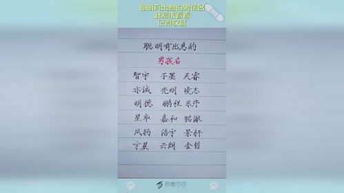 健康聪明男孩名字