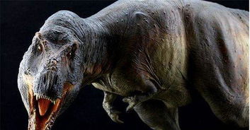 顶级食肉恐龙霸王龙,为什么长了两只 小手 到底有什么作用 