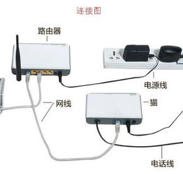 网线显示已连接但是未识别