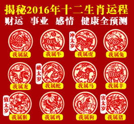 2016生肖爱情运势排名