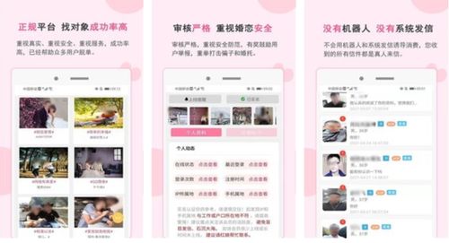 中国最好的相亲网站 最大的婚恋网站是哪家