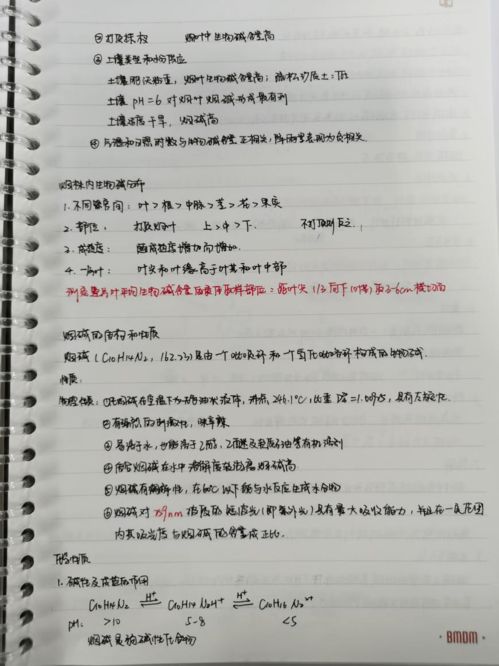 最牛笔记① 最牛笔记还有0秒送达