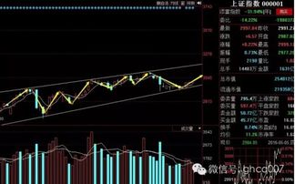 新入市散户现在的操作策略？