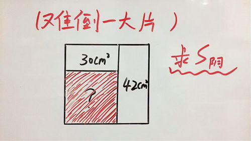 五年级数字海报怎么做