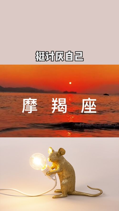 总给小魔羯发消息,问小摩羯在干啥 