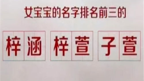 宝爸用父姓 母姓给娃取名,却遭全家人反对,宝妈 看看咱俩姓啥