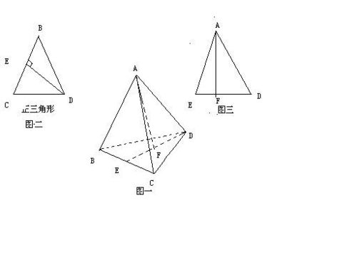 为什么正四面体的高到底面的距离刚好是底面三角形高的2 3怎么划分成1 2的啊 什么三线合一,不懂啊 
