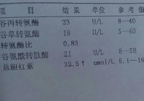 红细胞为什么会破坏引起间接胆红素偏高