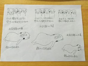 高校辅导员罚翘课学生抄熊本熊表情包