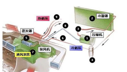 汽车除雾的正确方式为 循环方式 空气温度