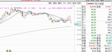 格力这次分红无语了，只是降低股价，根本没有现金分红，请问什么样的分红方式才能真正分到现金？