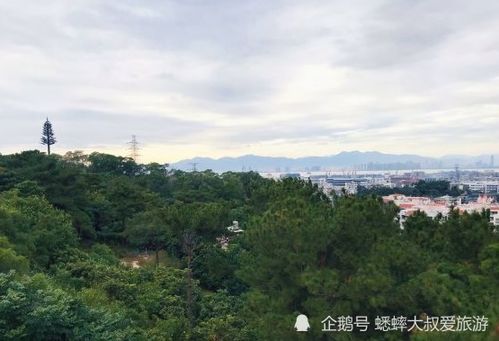 厦门有一座绿色宝石山,条条大路有美景,游客以为来到了秘境