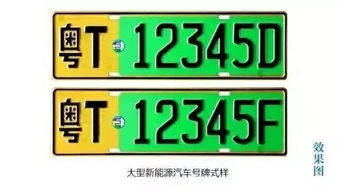 下个月新能源汽车号牌正式启用 还能自编自选 粤T88888....