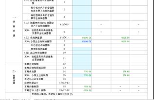 小微企业免税销售额一栏填什么