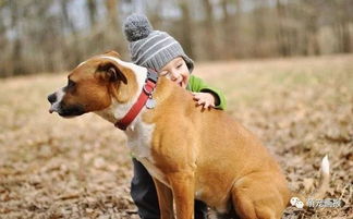 有一只狗狗相伴的童年,是无限美好的 