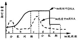 5.下图表示一个生物群落中甲.乙两个种群的增长速率随时间变化的曲线.下列叙述中不正确的是 A.甲.乙两种群可能为竞争关系.甲的竞争力小于乙.竞争强度弱 强 弱 B 