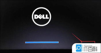 DELL怎么安装win10系统