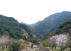 九峰山旅游区怎么样