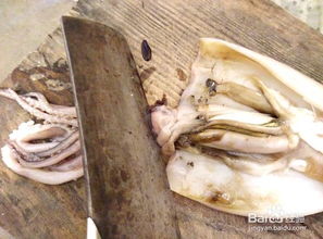 美食 新鲜鱿鱼如何处理干净切片
