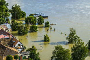 洪水,多瑙河,沙袋发力,公园,篮球,帕利塞德,桥,天空,蓝色,泰尔 