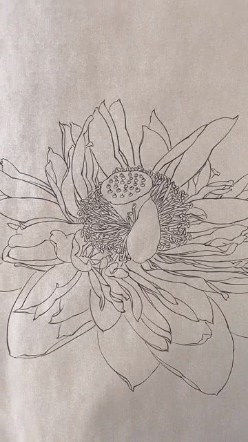 千叶莲花画起来其实还是挺简单的 手绘艺术 