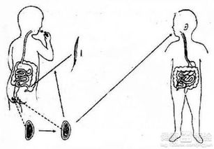蛲虫病应如何治疗