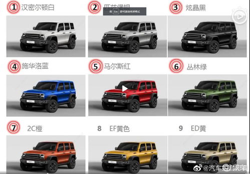 WEY全新越野SUV P01 全新坦克越野平台首款量产车 