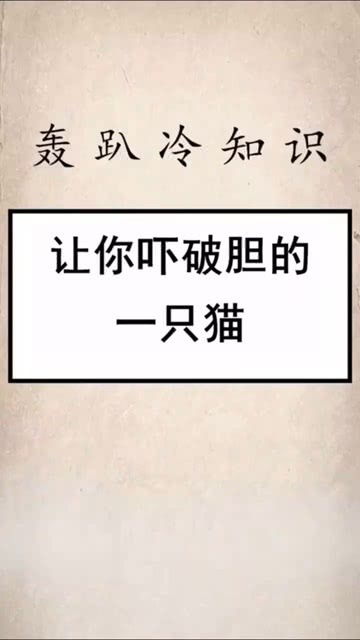 辩论冷知识(辩论赛小知识)